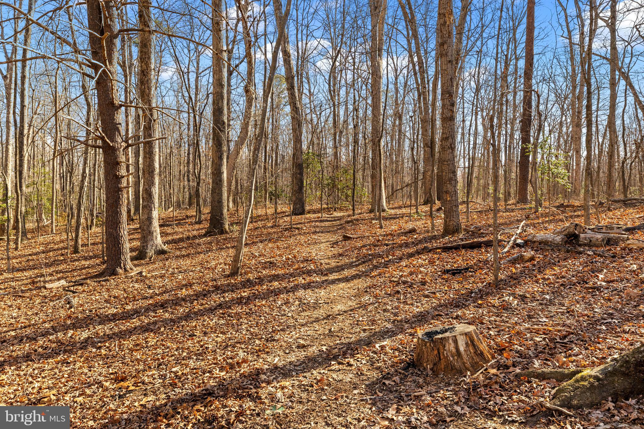 LAKE WILDERNESS - Residential