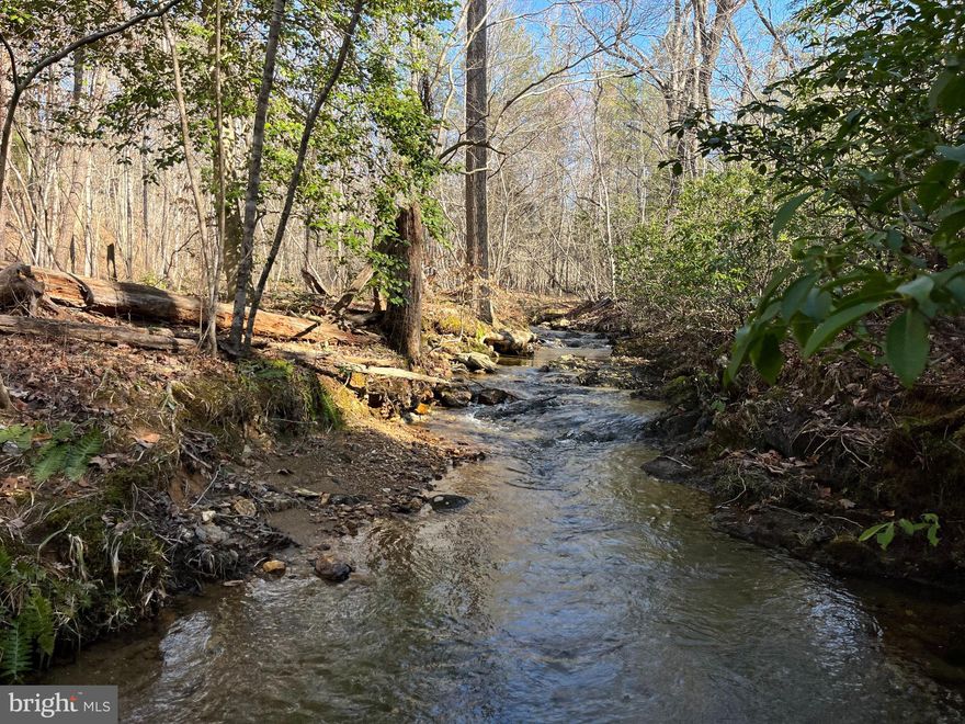 The Long Branch Tract is 43 acres of mountain land touching Leesville Lake in the Lynch station area of Bedford County. This property is great for hunting, fishing, camping, and potentially building.  The Long branch creek is on the back side and feeds into leesville lake. The creek is not easily  accessible but can be reached through the woods or down the power line. This is a really cool tract that somebody could put effort into making a special place.