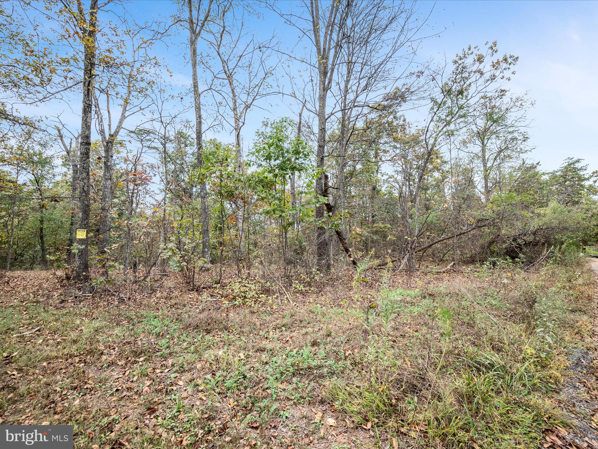 Lot 6 DEER RUN DRIVE