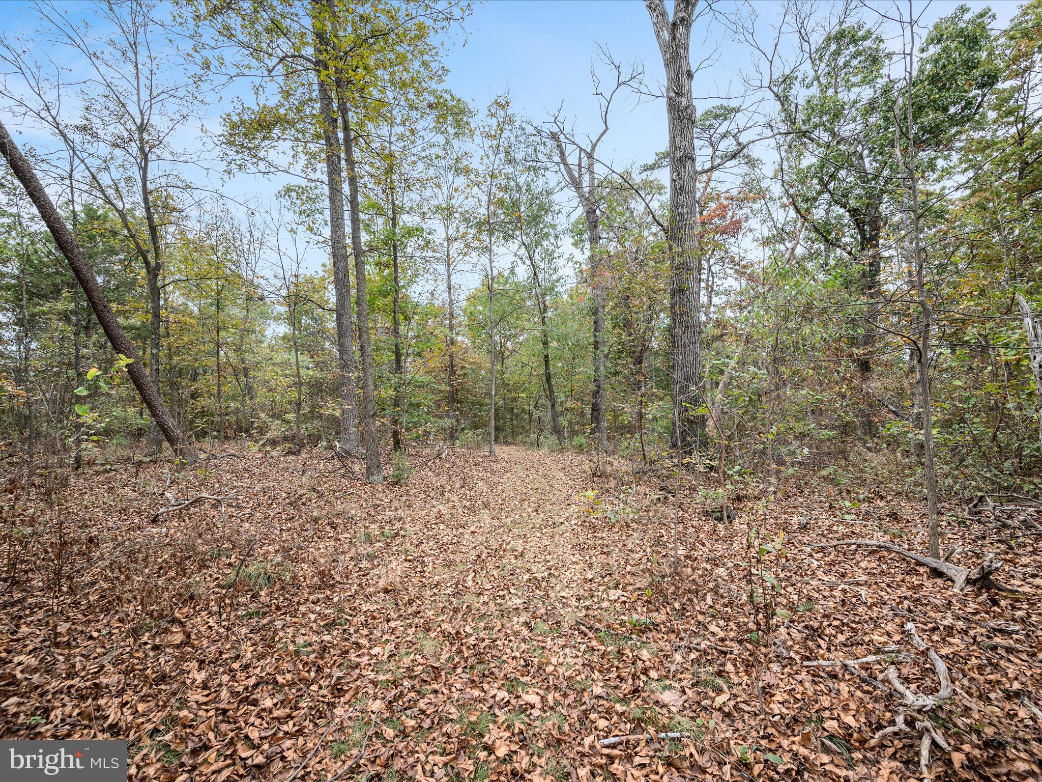 Lot 6 DEER RUN DRIVE