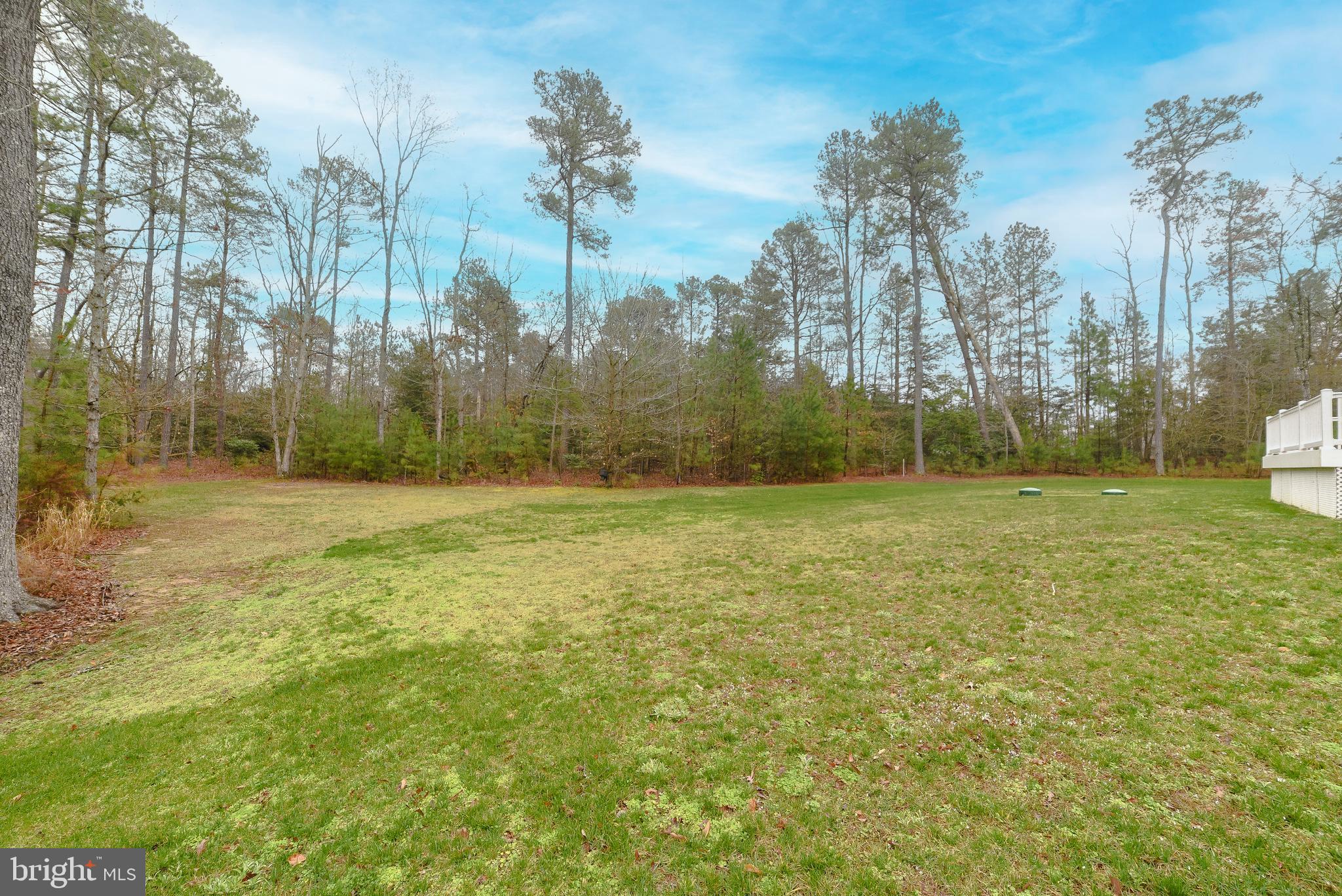 HAYDEN'S RISK - Residential