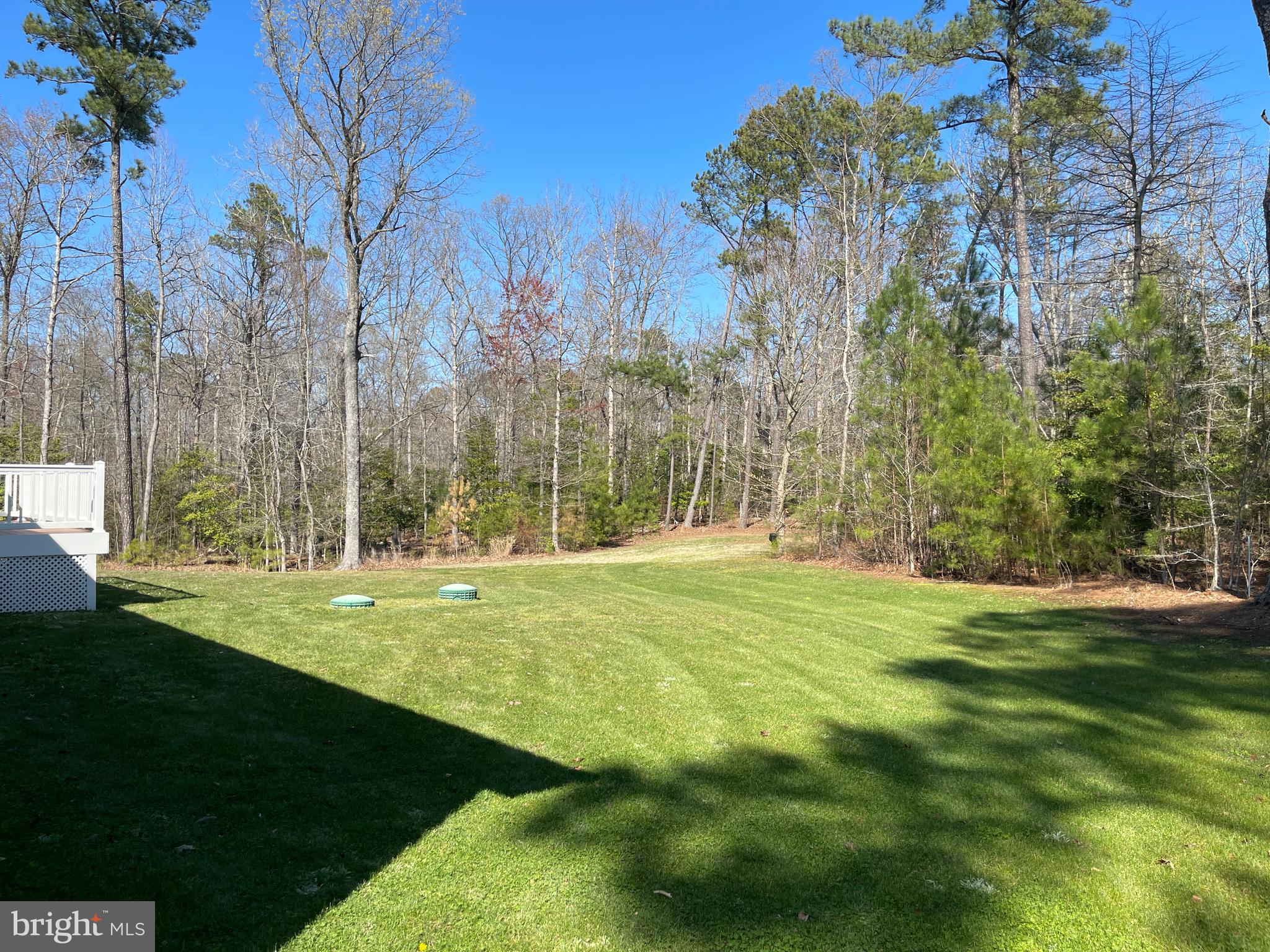 HAYDEN'S RISK - Residential