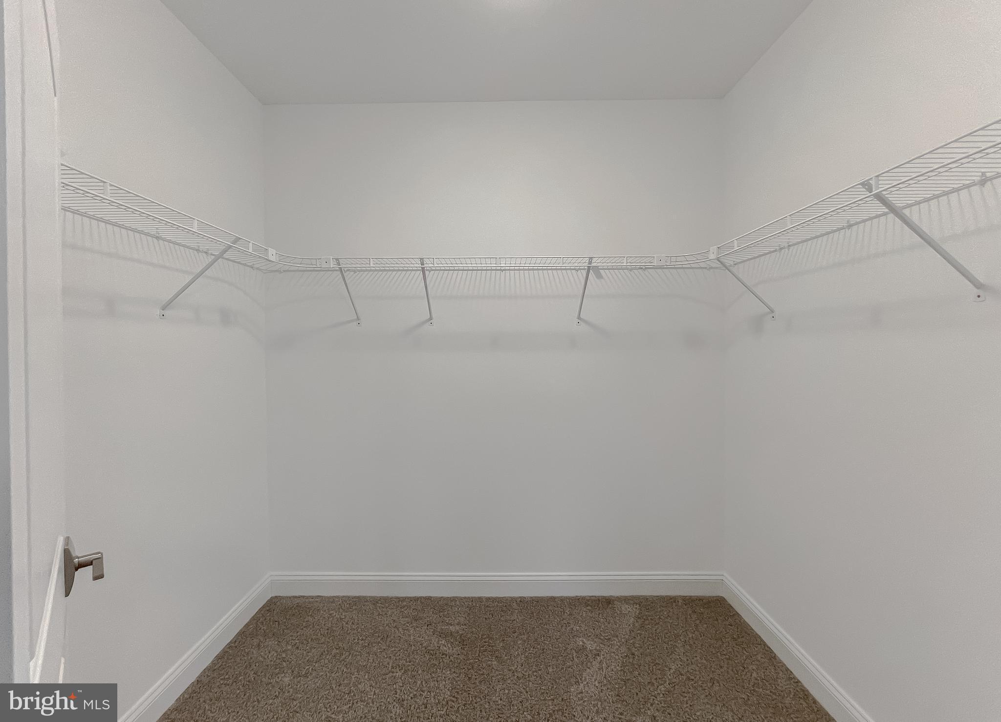 HAYDEN'S RISK - Residential