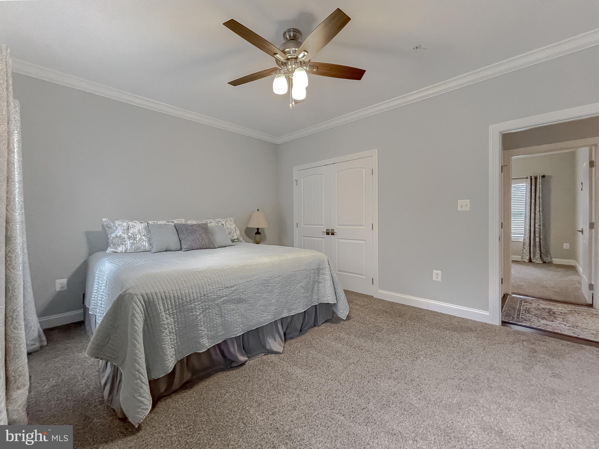 HAYDEN'S RISK - Residential