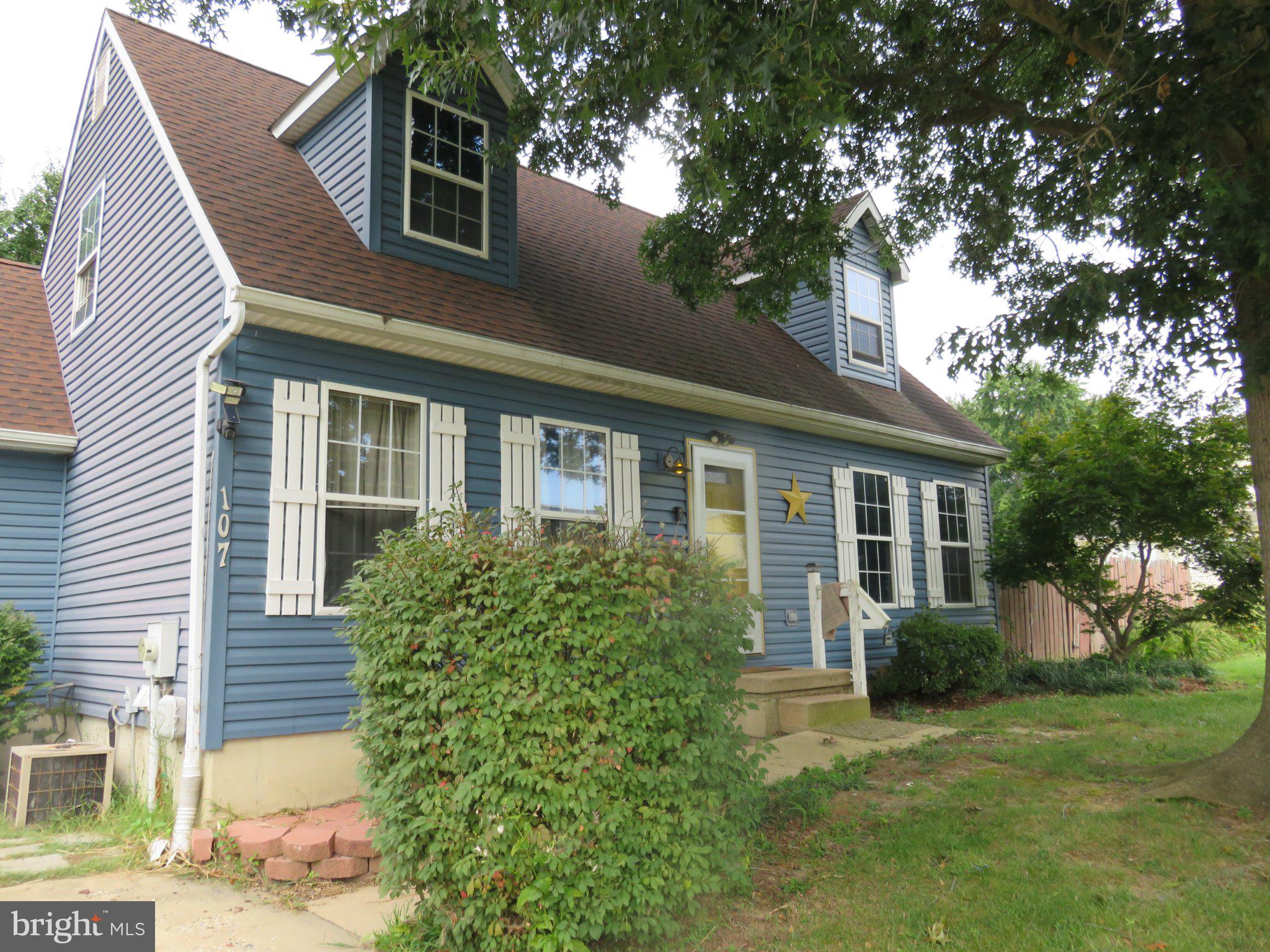 107 CHESTNUT DRIVE