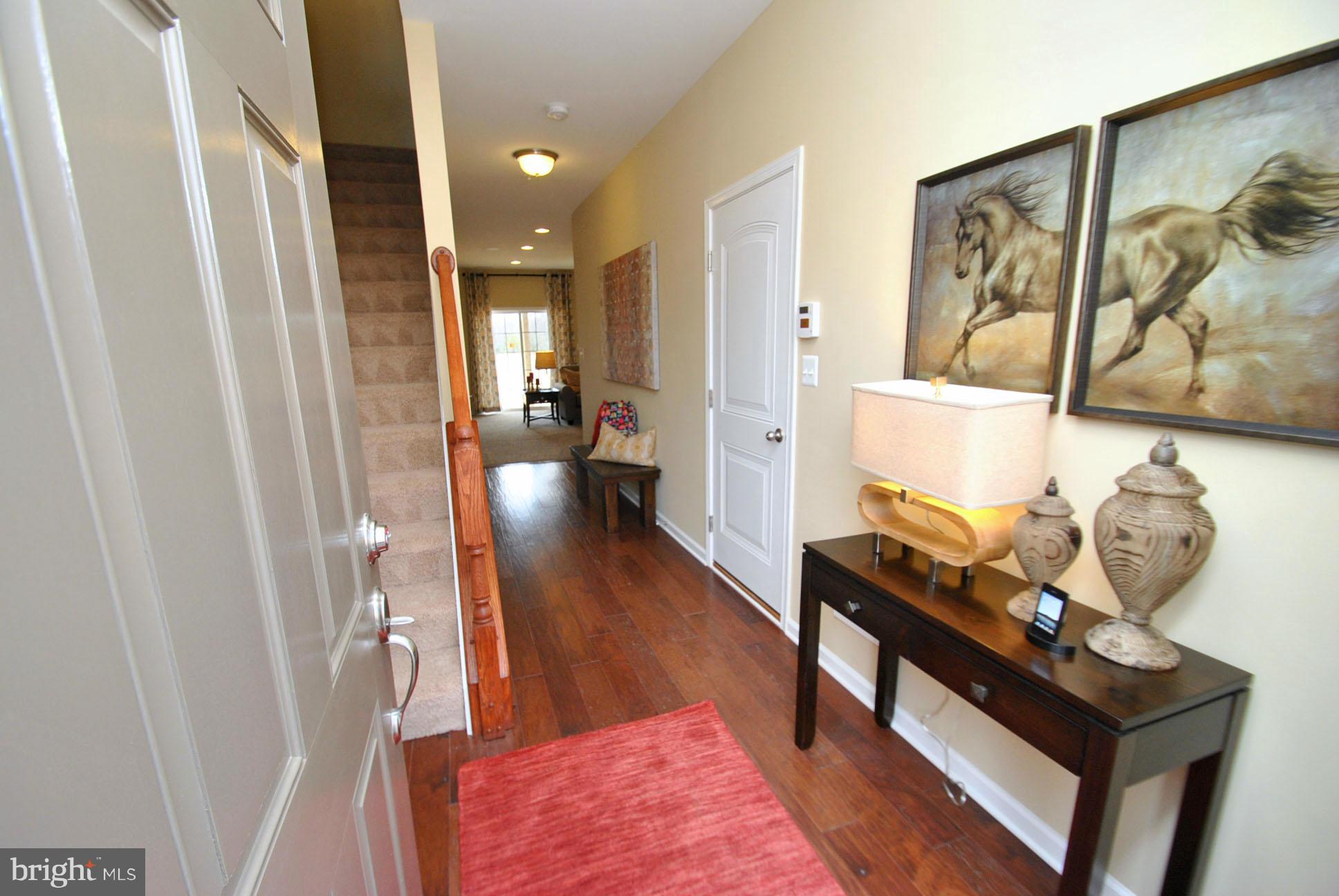 PRESERVE AT WINDLASS RUN - Residential