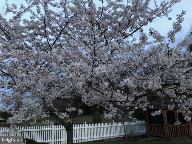 NEW BRISTOW VILLAGE - Residential