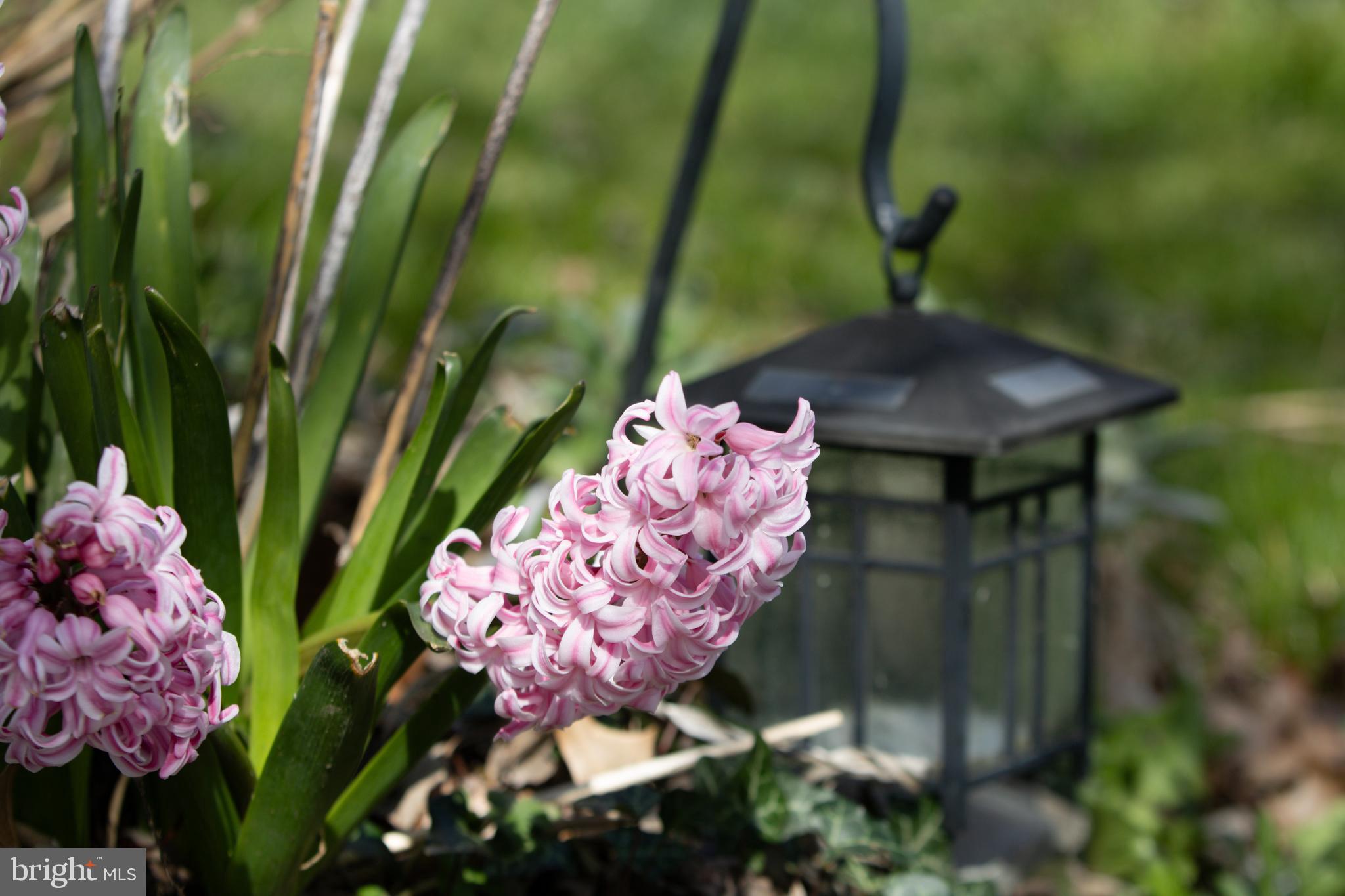 ACADEMY HEIGHTS - Residential