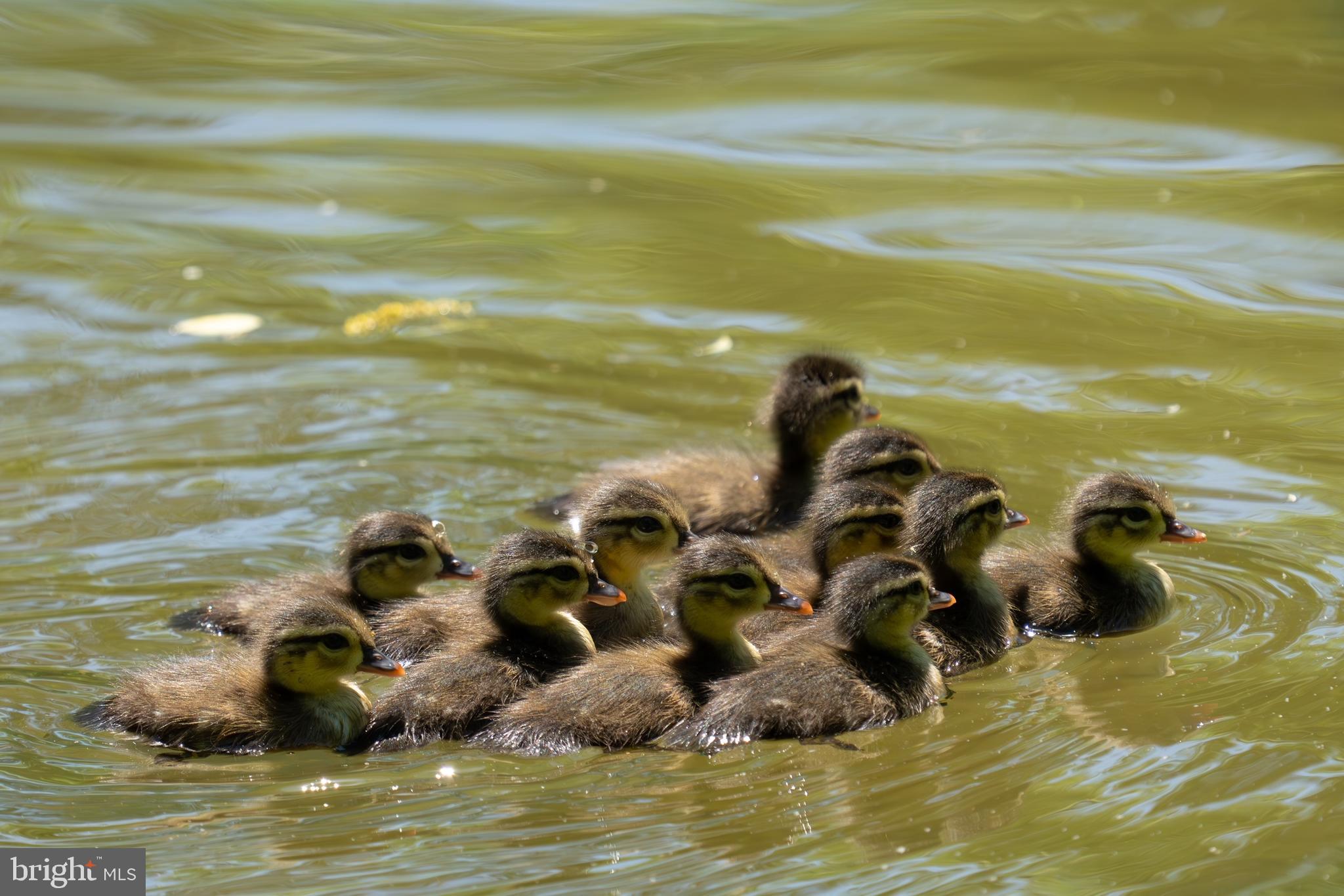 GRAN MAR - Residential