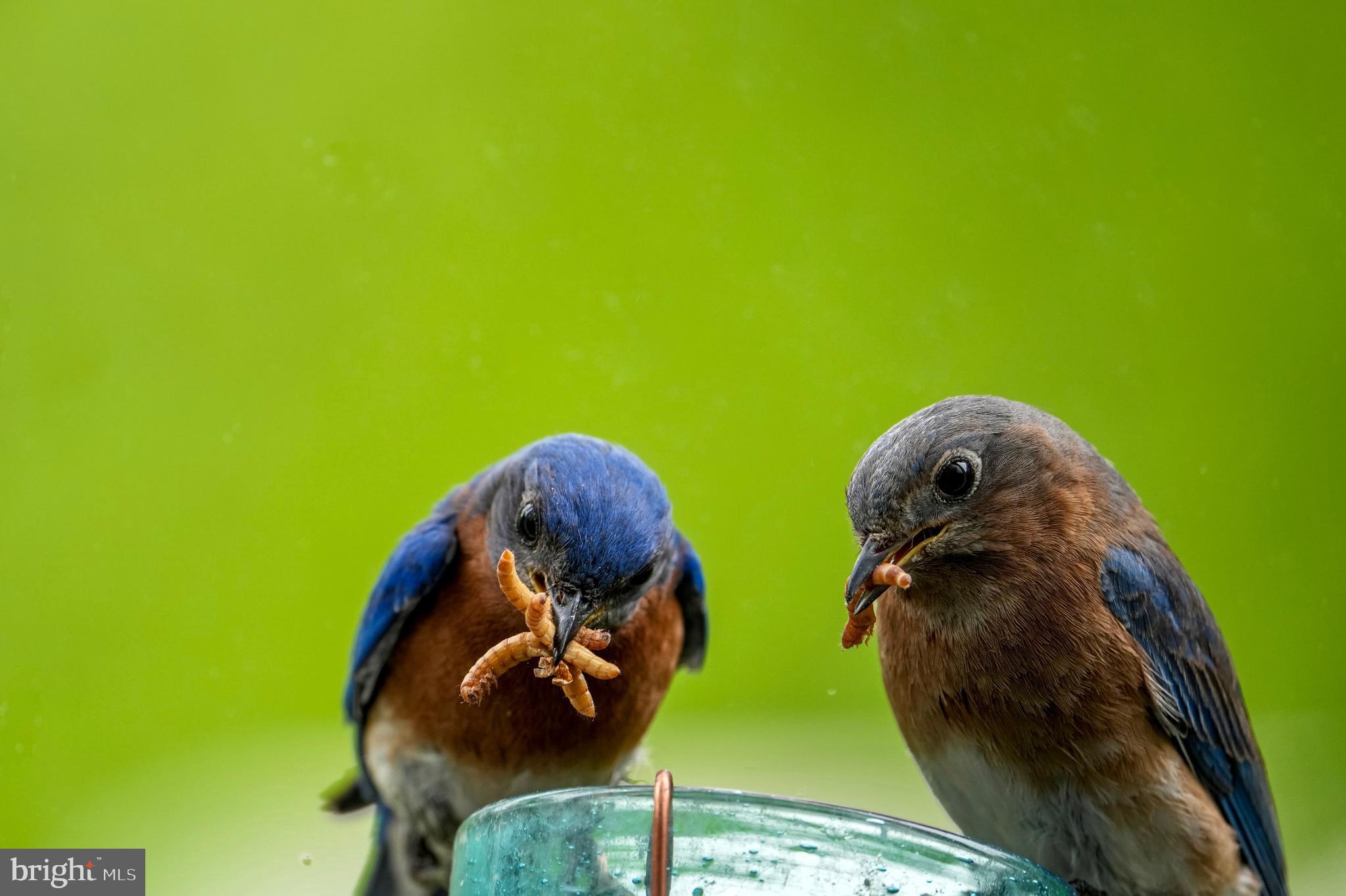 GRAN MAR - Residential