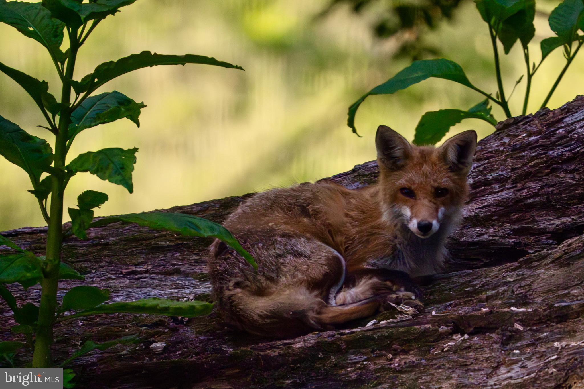 GRAN MAR - Residential
