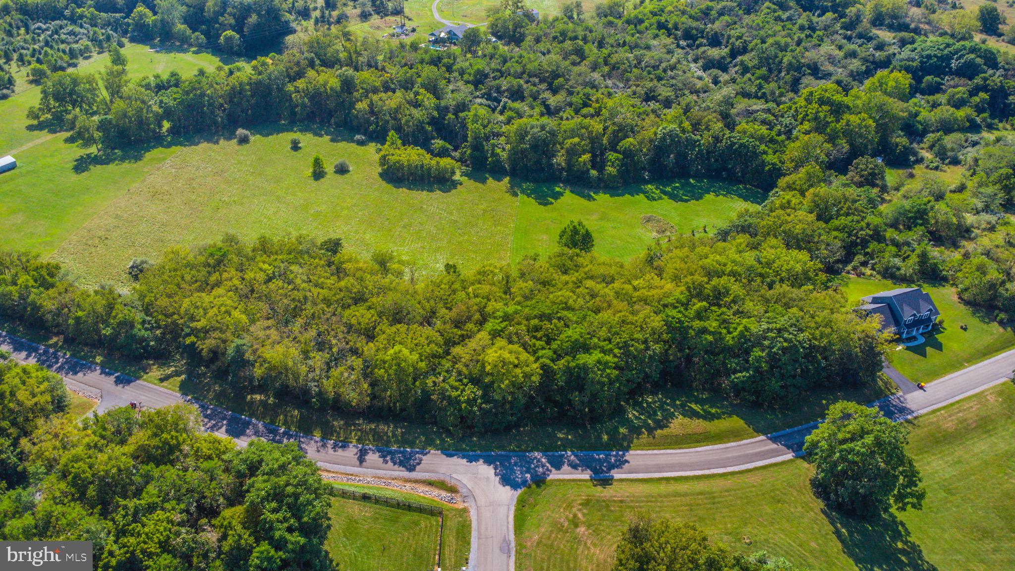 Take your vision and bring it to life with nearly 4 acres of land in Crossings on the Potomac. This land offers mature trees giving you just the right amount of privacy. The gated community features a private marina equipped with a boat ramp and dock slips. Have fun navigating the Potomac river in your boat or personal water crafts. Builder plans are available contact for more information or bring your own builder.