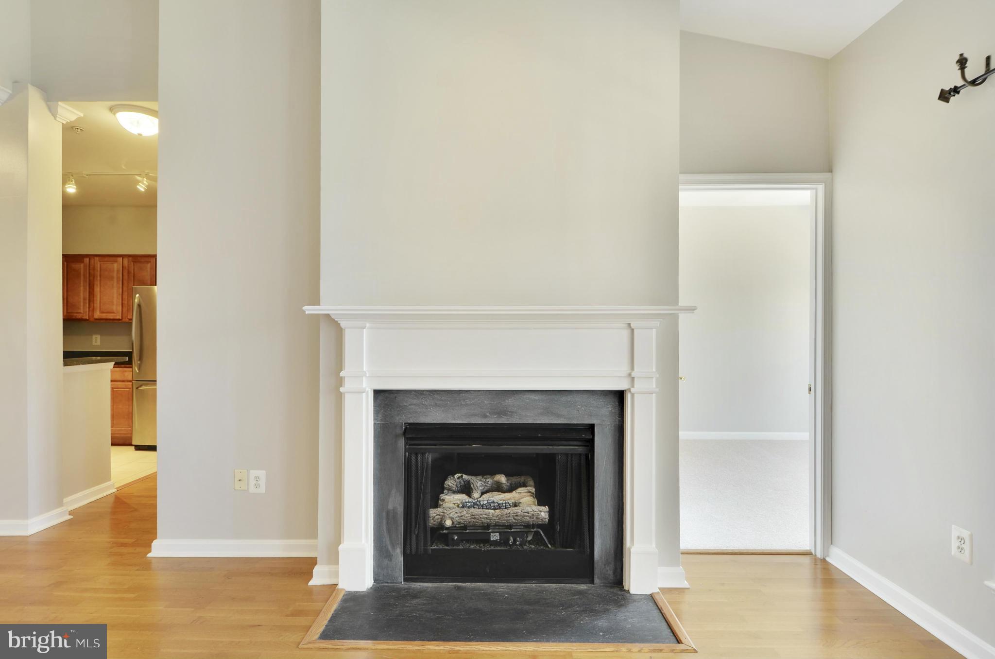 PALAZZO AT PARK CENTER - Residential