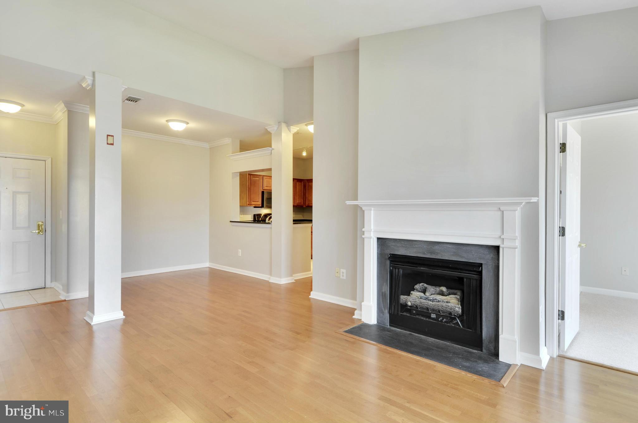 PALAZZO AT PARK CENTER - Residential