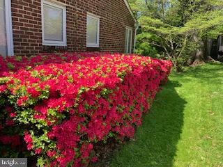 MT AIRY (EAST) - Residential