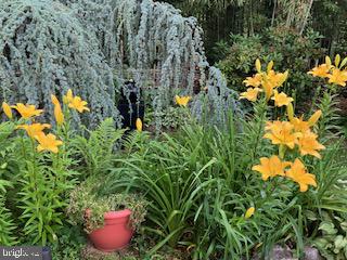 MT AIRY (EAST) - Residential