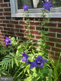 MT AIRY (EAST) - Residential