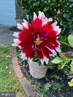 MT AIRY (EAST) - Residential