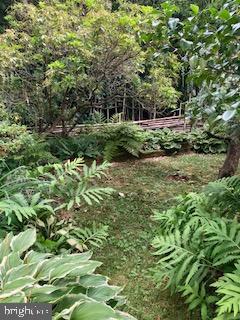 MT AIRY (EAST) - Residential