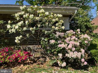 MT AIRY (EAST) - Residential