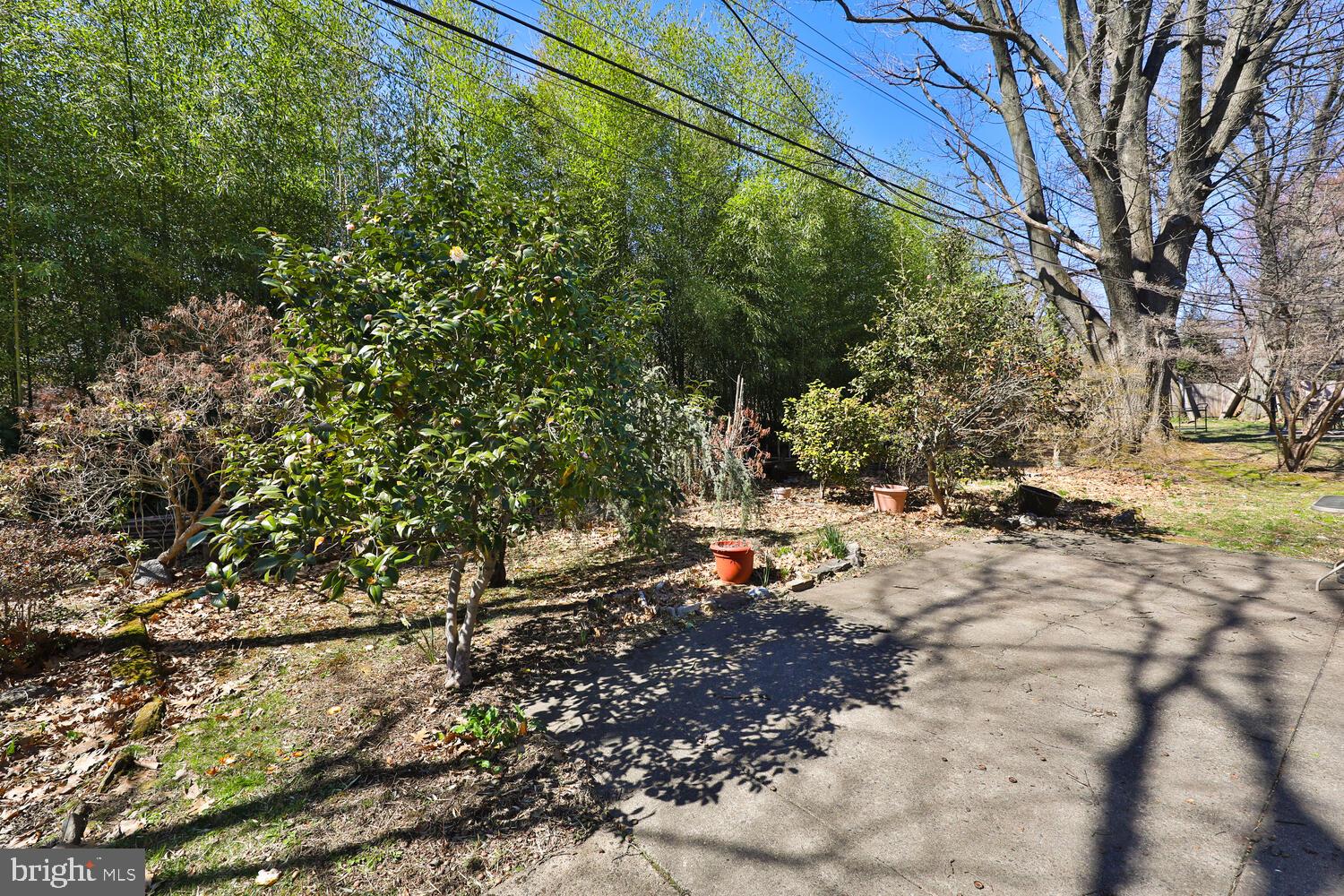 MT AIRY (EAST) - Residential