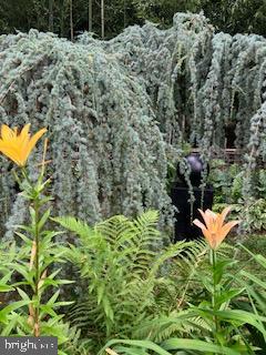 MT AIRY (EAST) - Residential