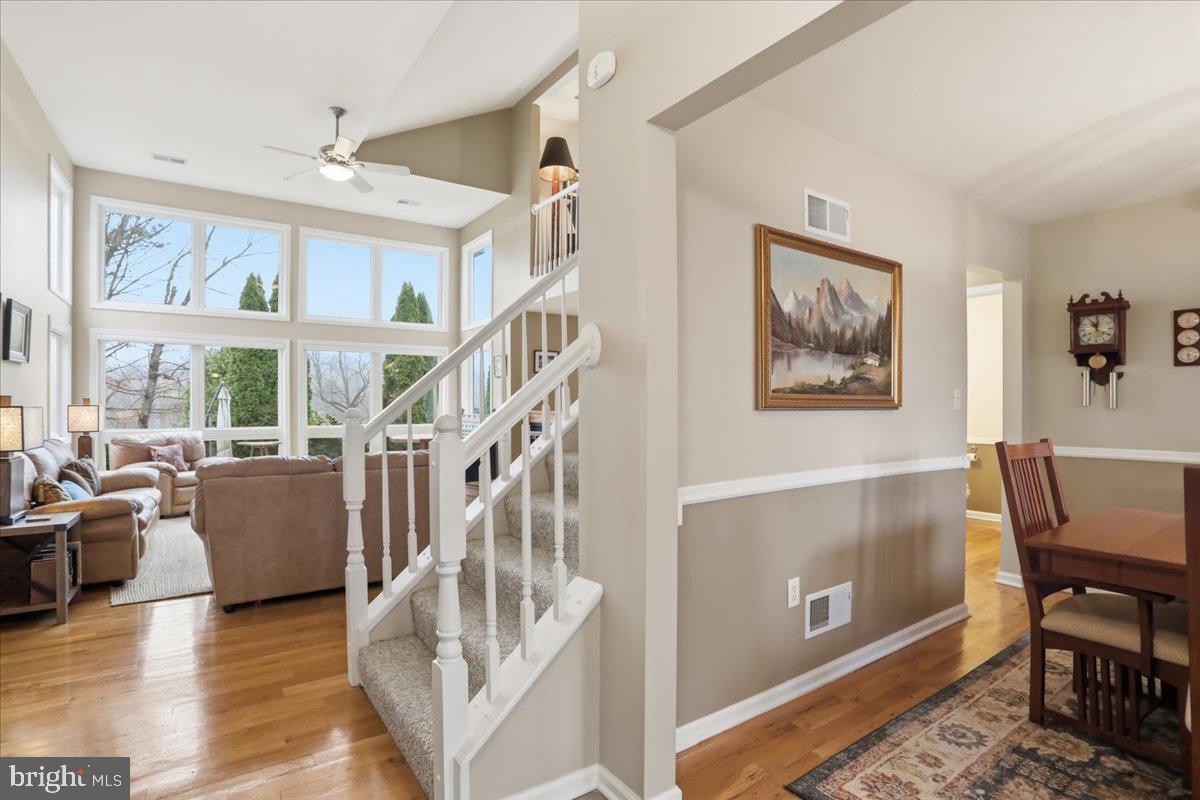 THE WOODS - Residential