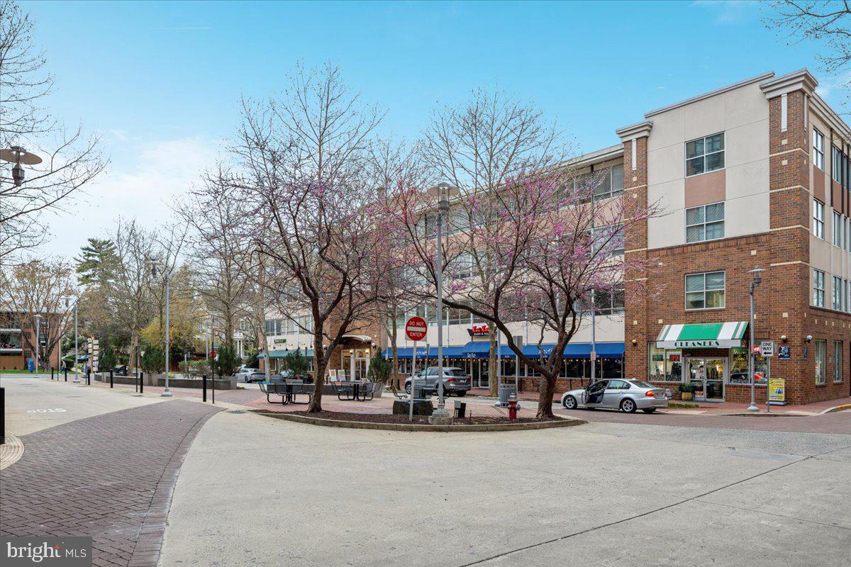 THE SPECTRUM - Residential