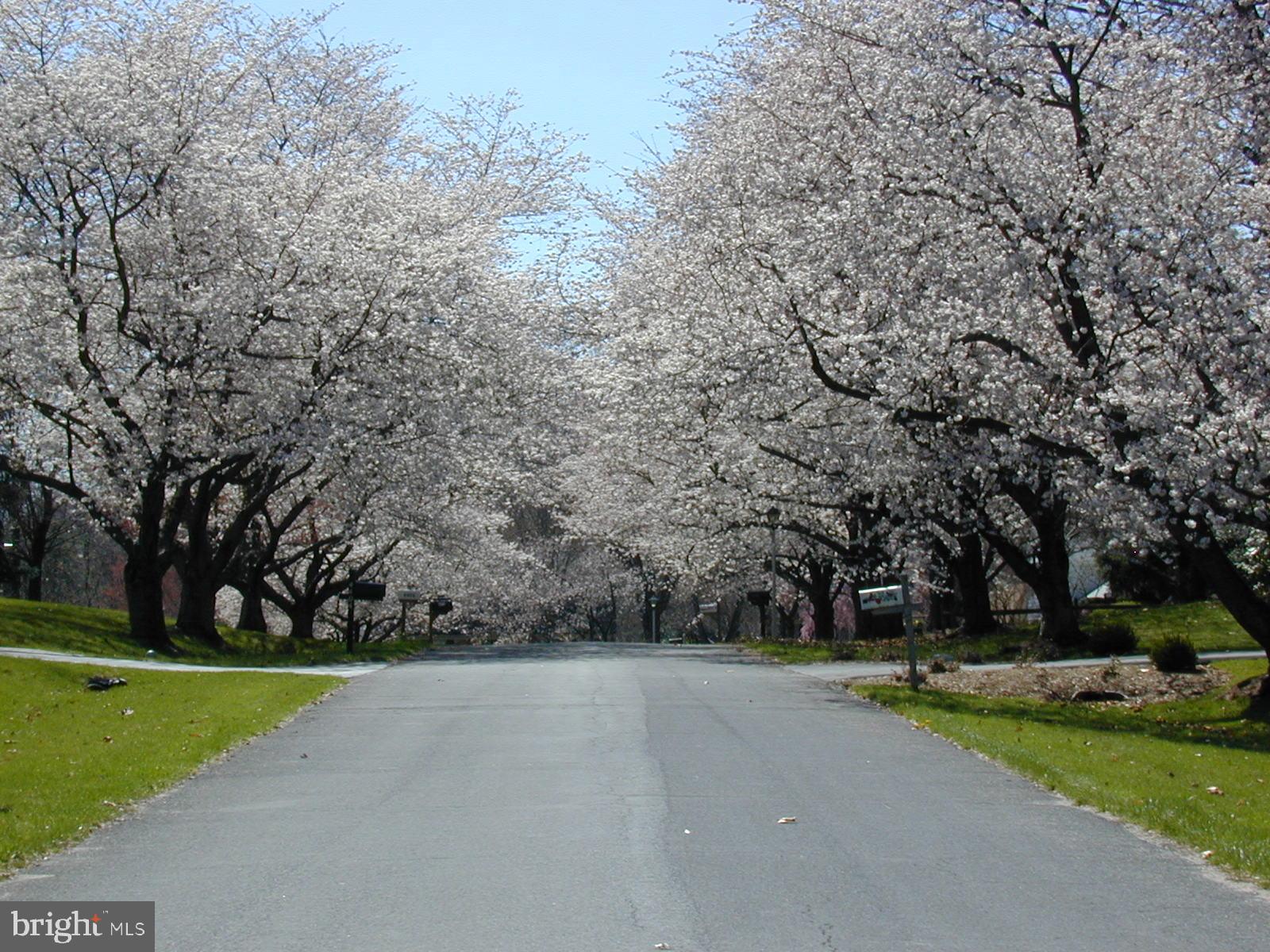 FLOWER VALLEY - Residential