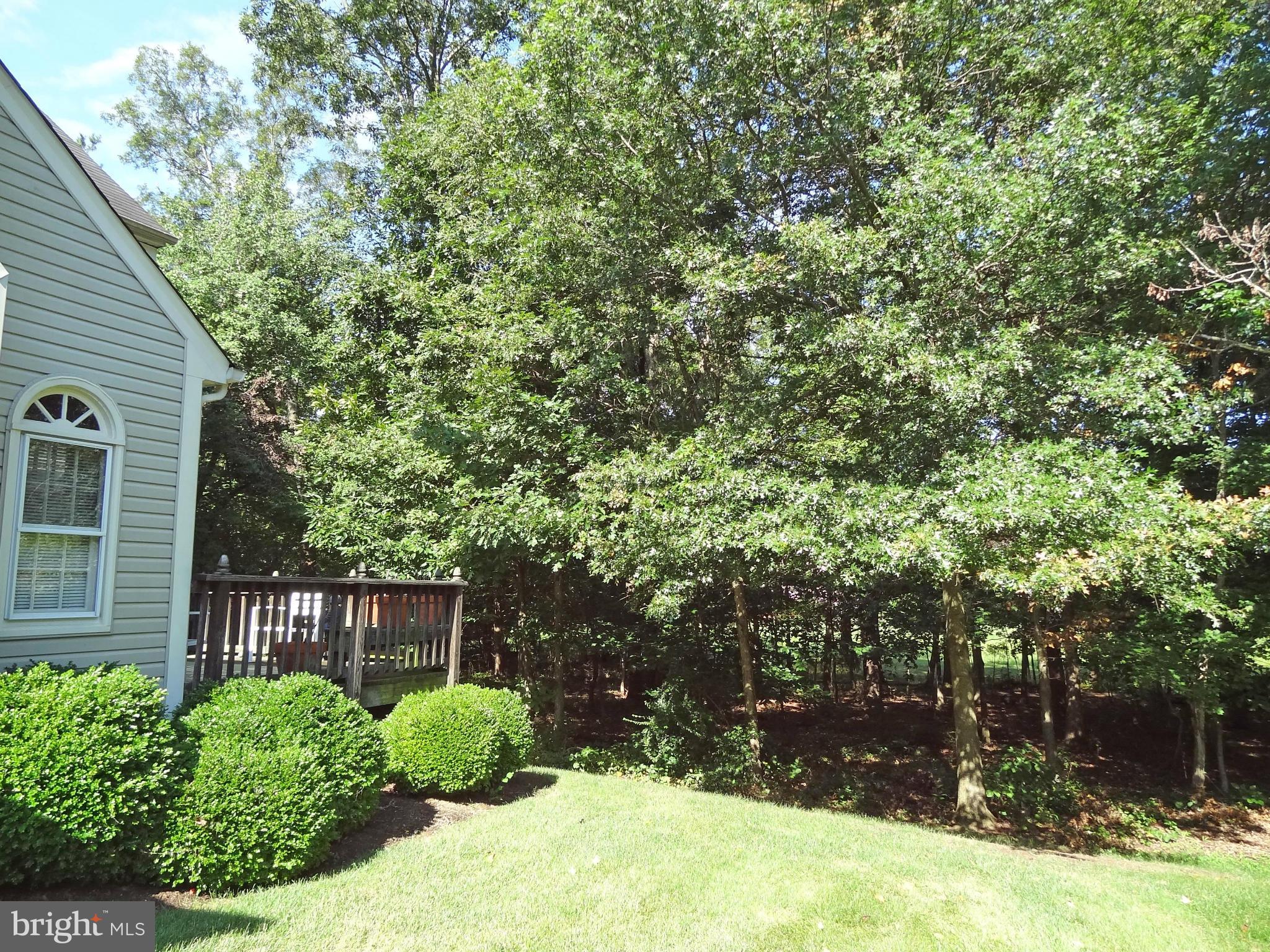 VIRGINIA RUN - Residential