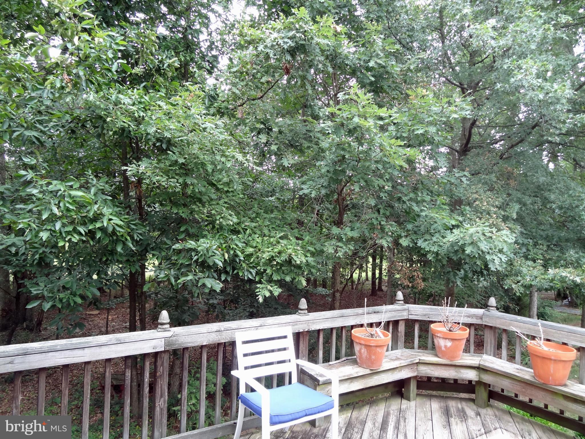 VIRGINIA RUN - Residential