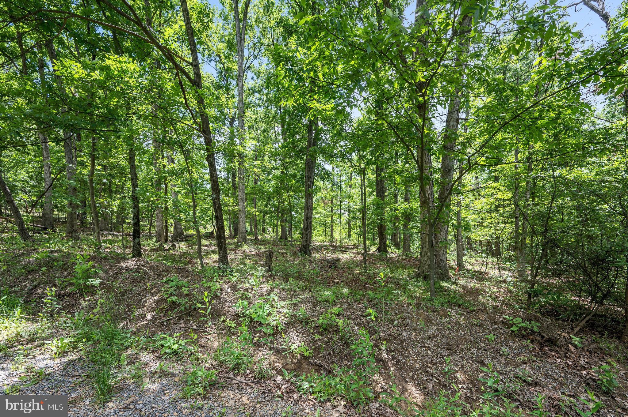 HIGH VIEW MANOR - Land