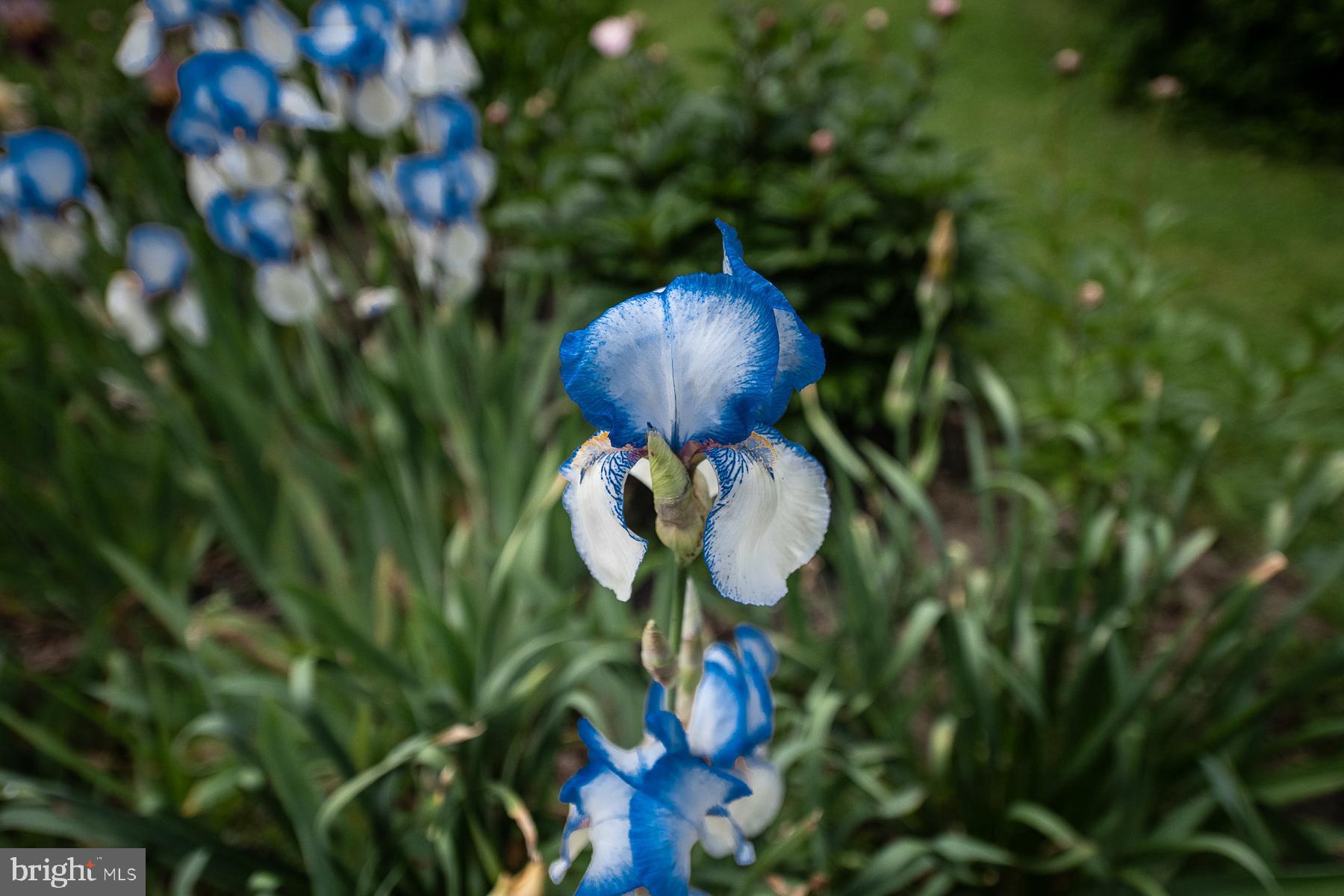 GREENLEAF - Residential