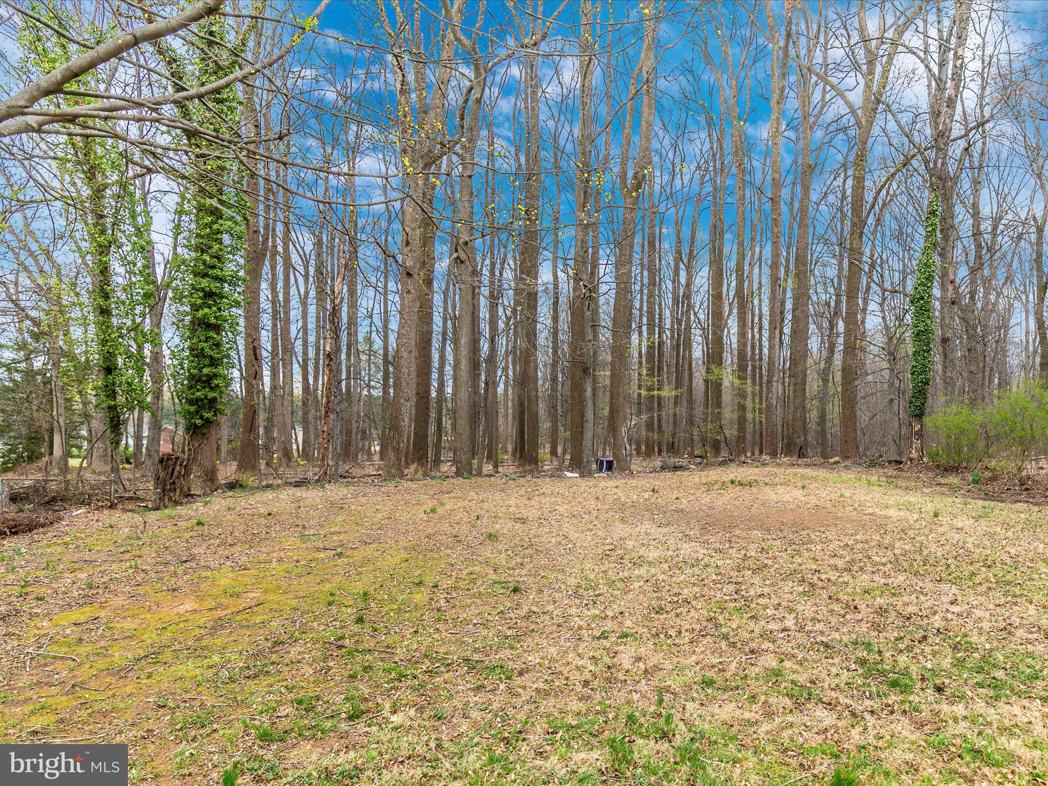 YELLOW SPRINGS - Residential