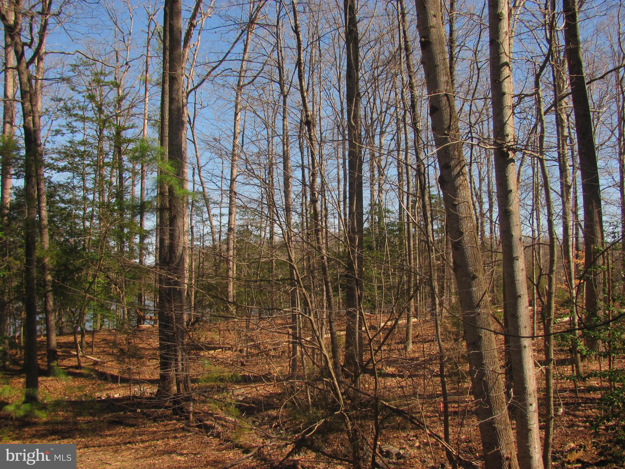 LAKE CAROLINE - Land