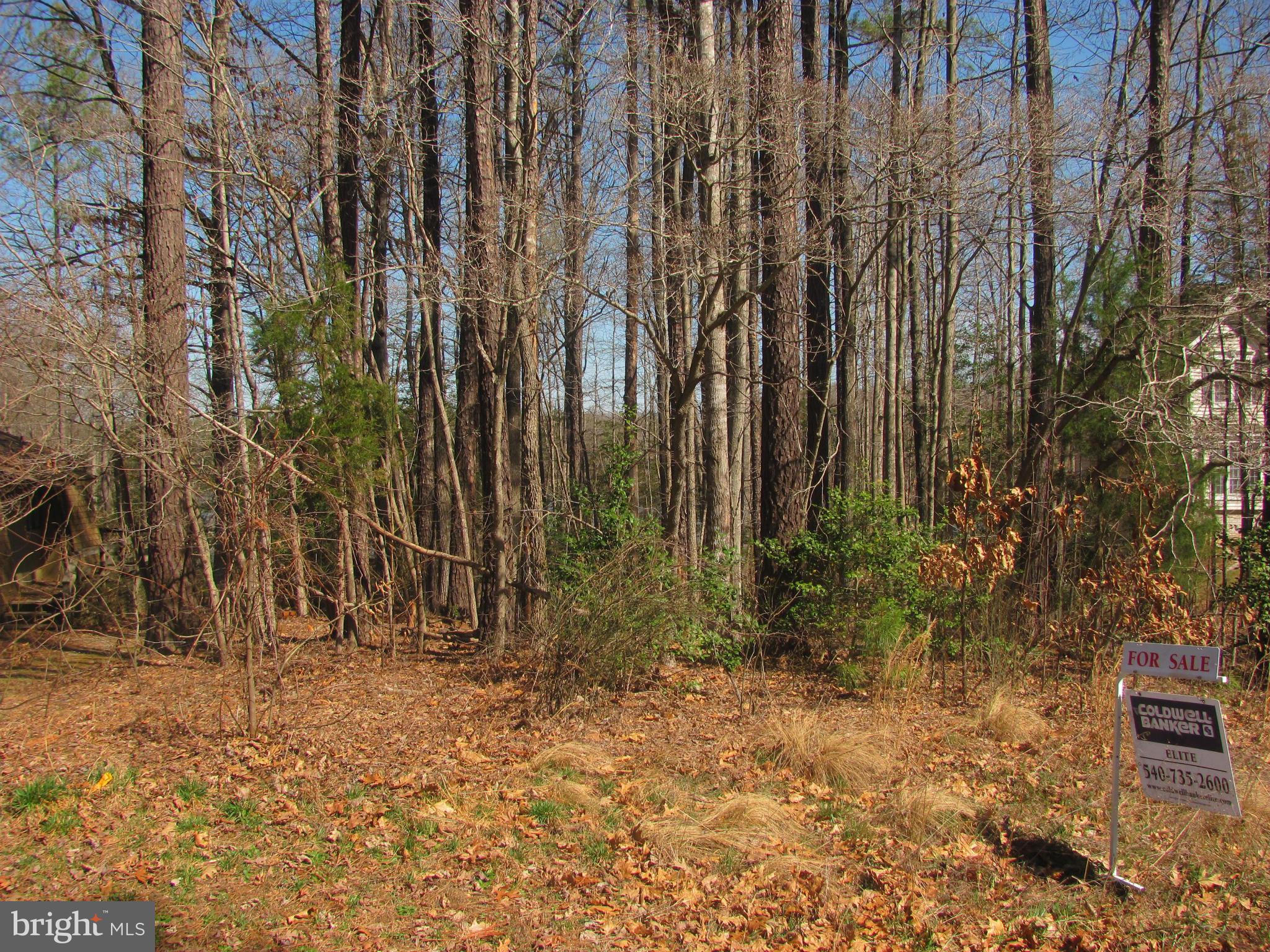 LAKE CAROLINE - Land