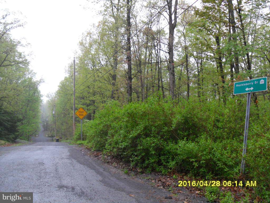 GLENWOOD FOREST - Residential