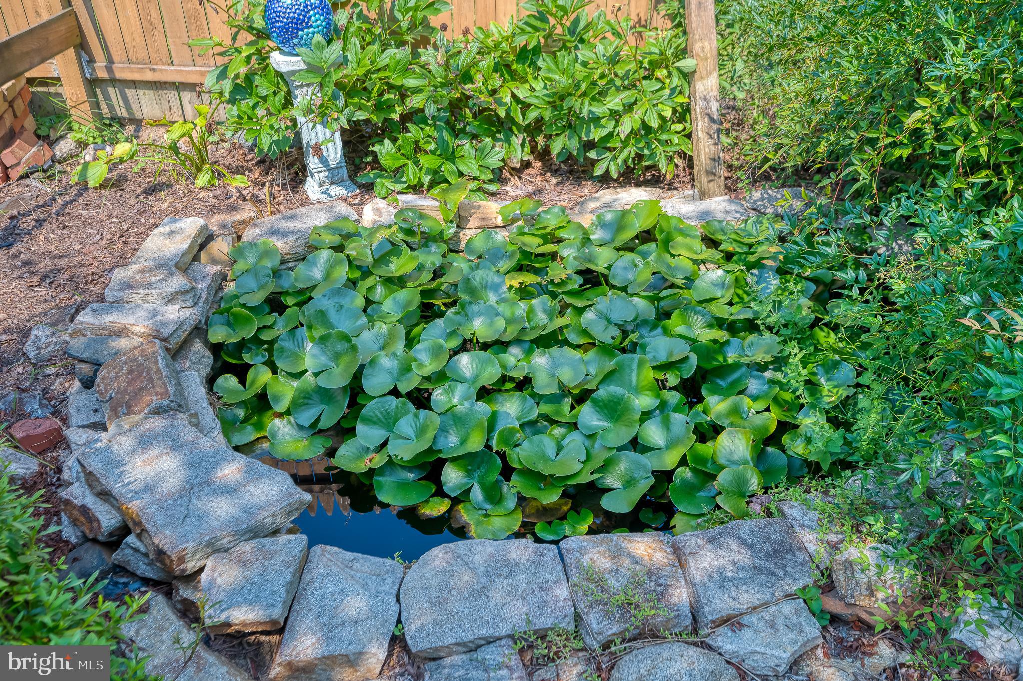 SPRINGDALE - Residential