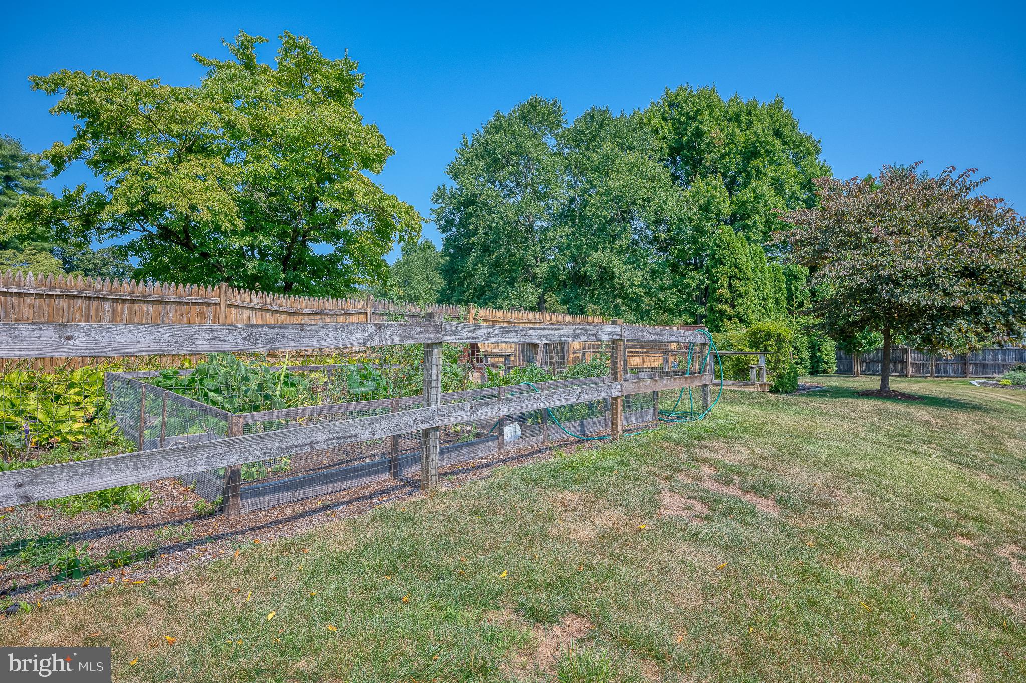 SPRINGDALE - Residential