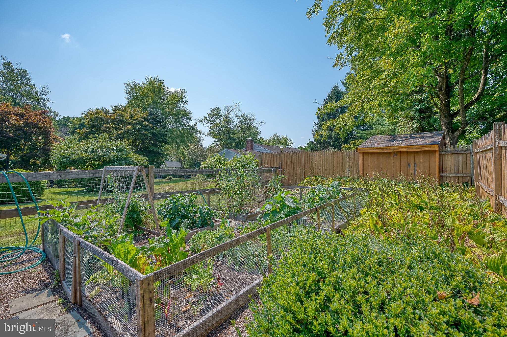 SPRINGDALE - Residential