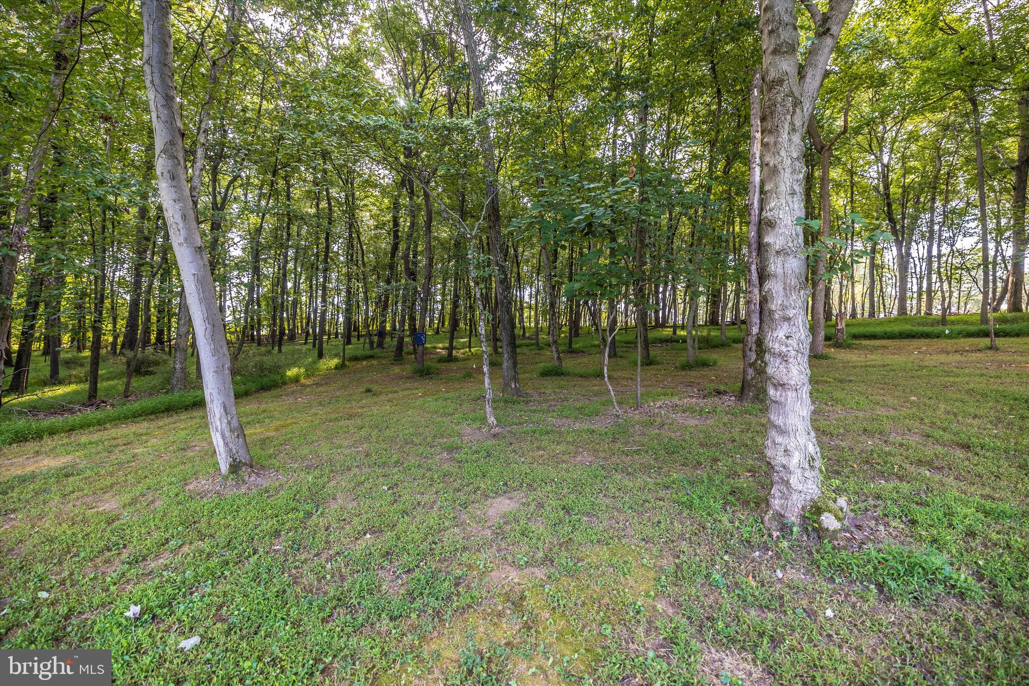 CHAPEL MEADOWS - Residential