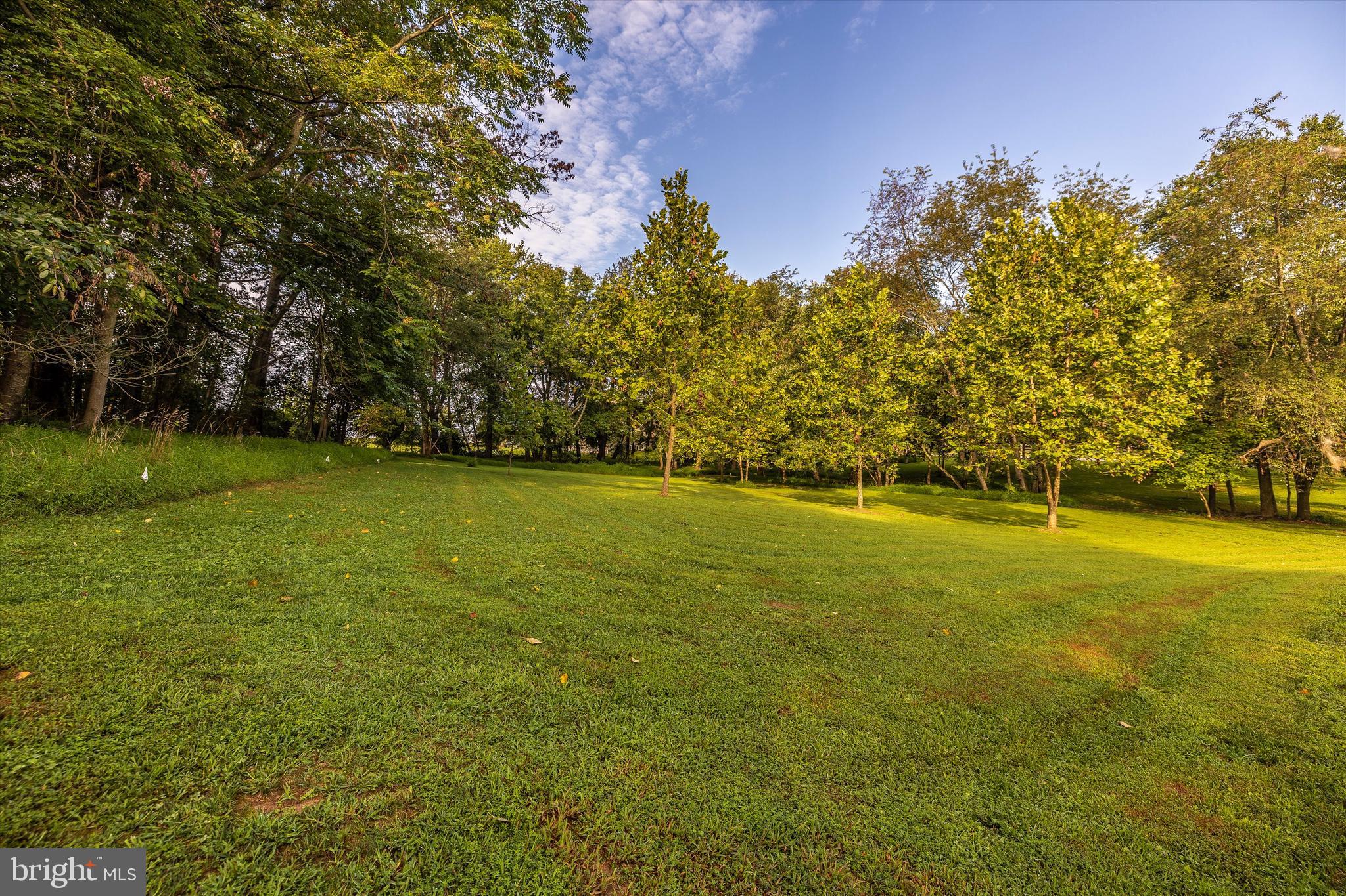 CHAPEL MEADOWS - Residential