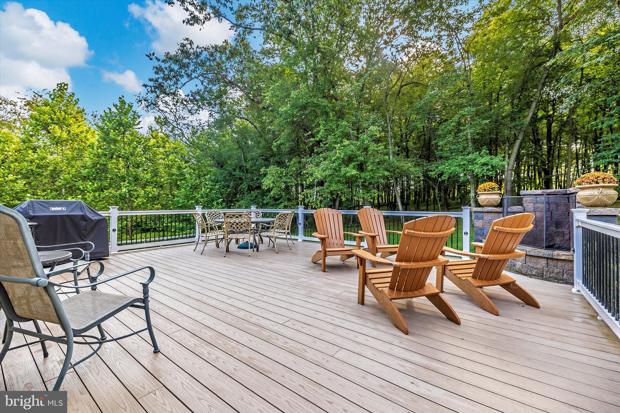 CHAPEL MEADOWS - Residential