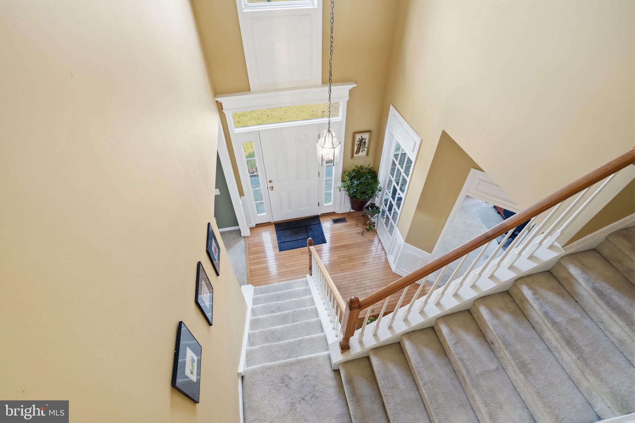 ROSEFIELD - Residential