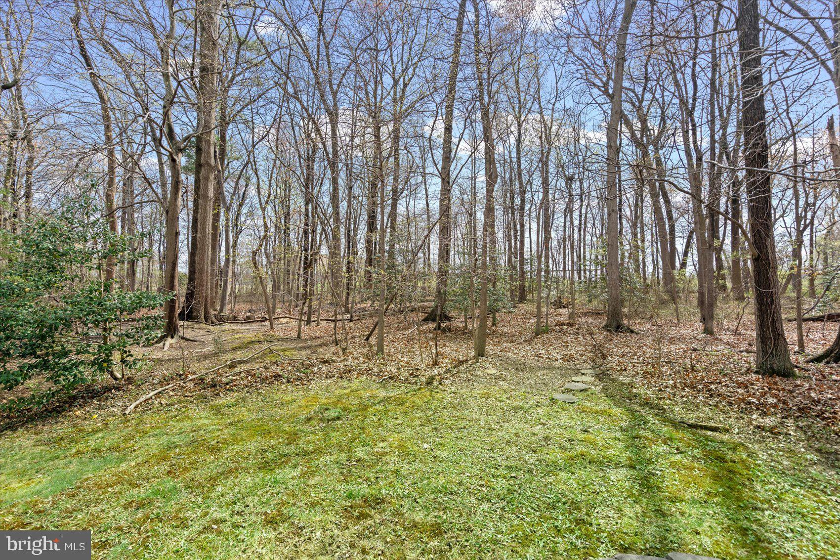 CASTLE STONE AT WHITE MARSH - Residential