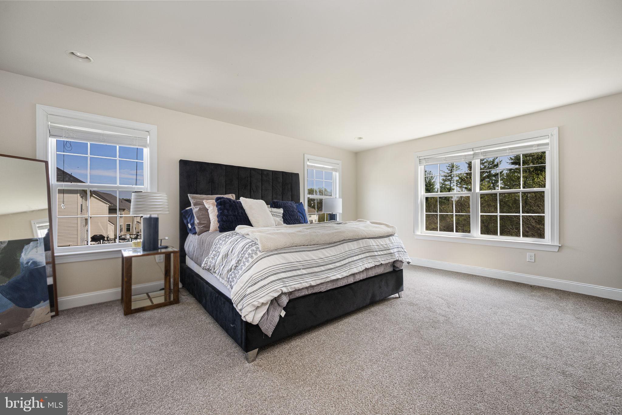 CHESTNUT RIDGE - Residential