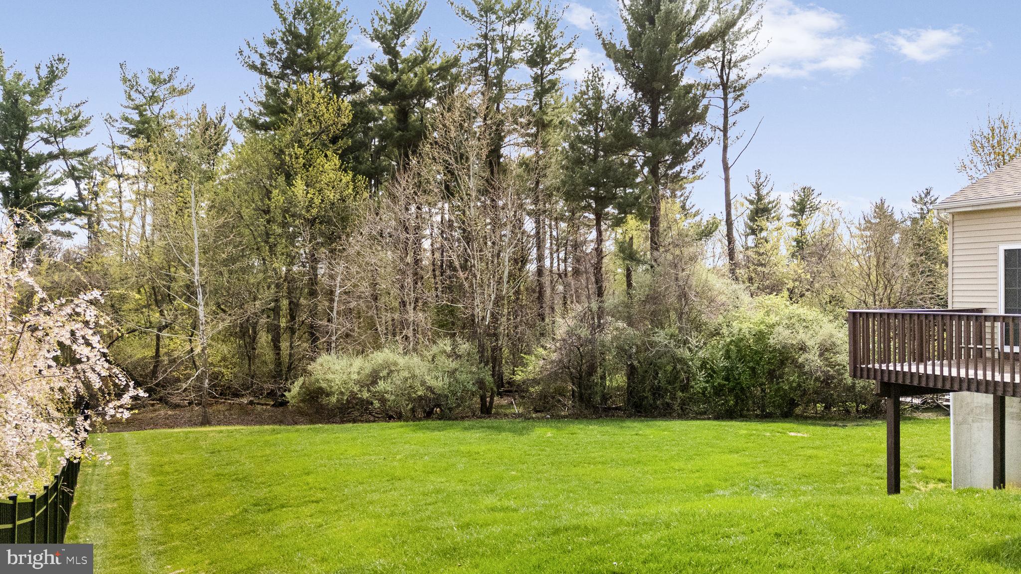 CHESTNUT RIDGE - Residential