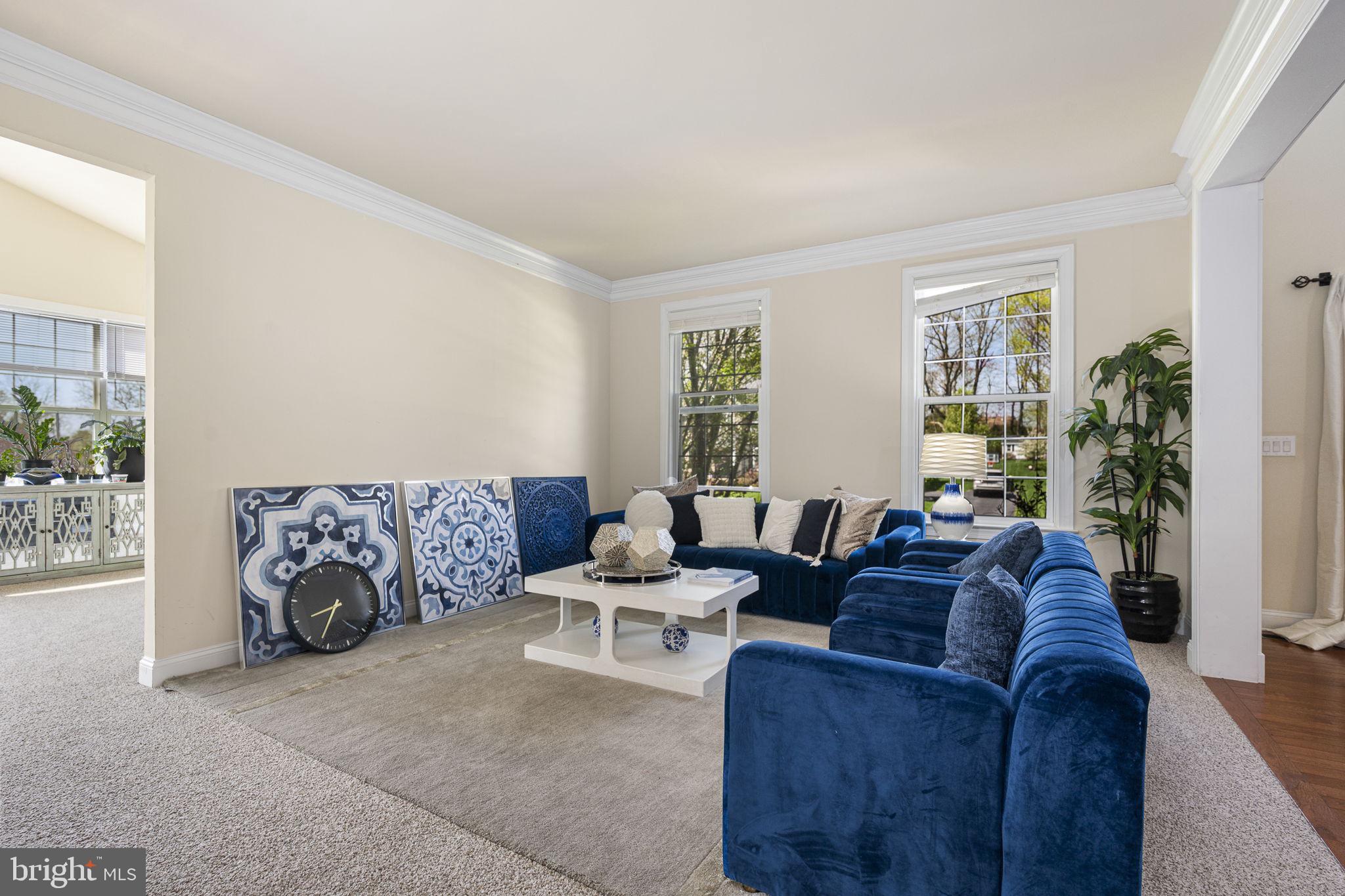 CHESTNUT RIDGE - Residential