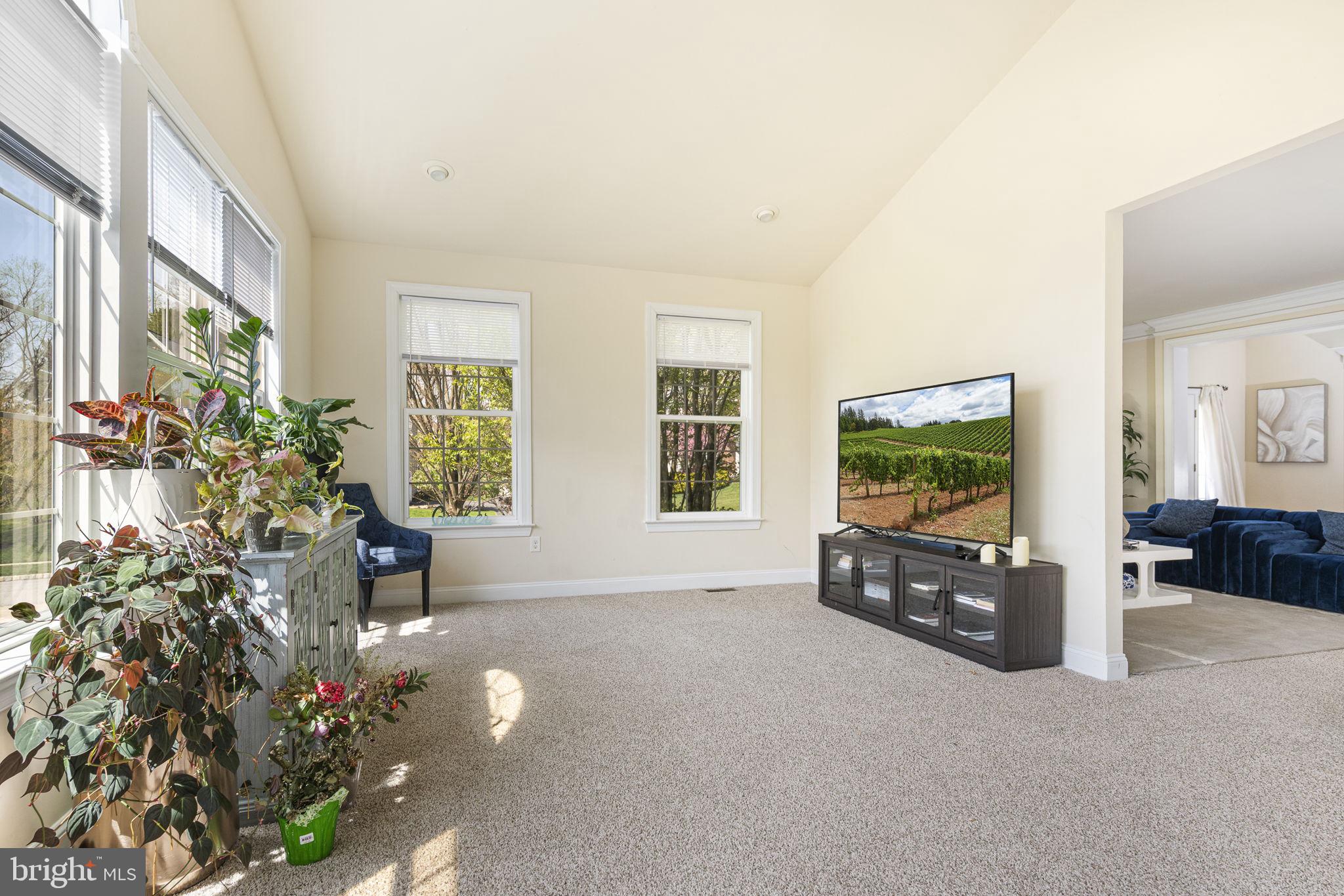 CHESTNUT RIDGE - Residential