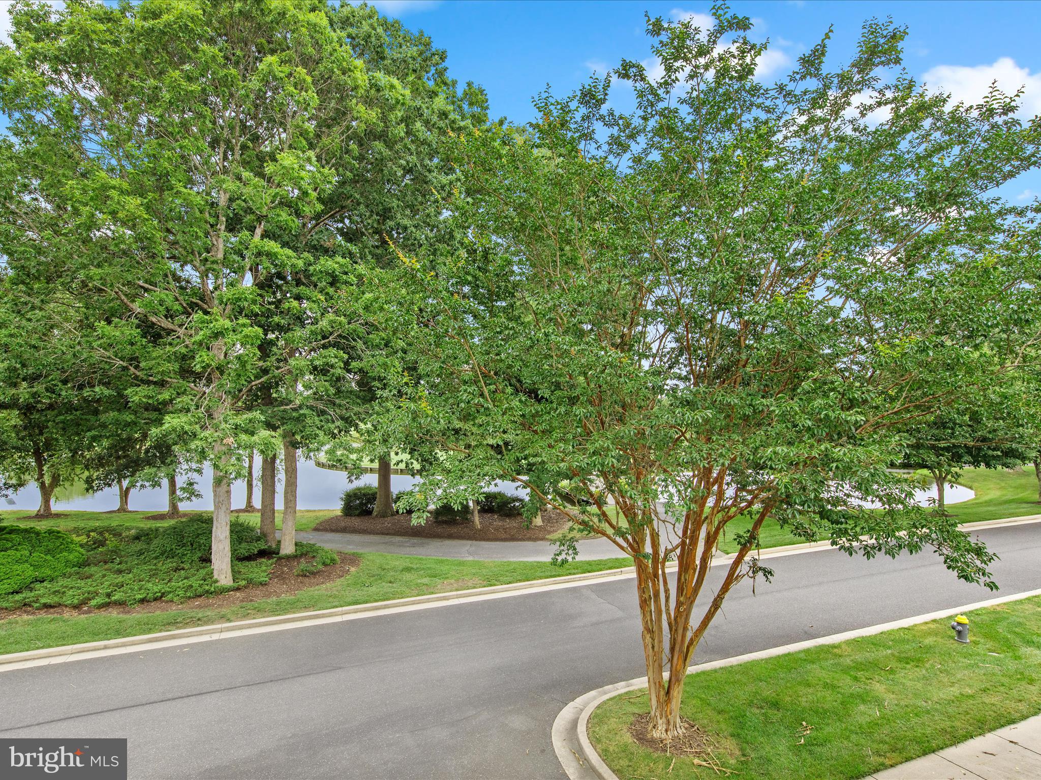 BAYWOOD - Residential